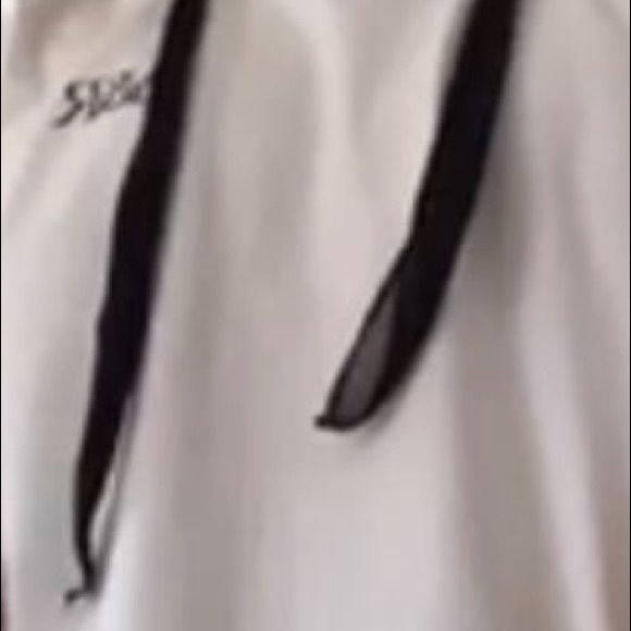 Meet your Posher, Rocco - Picture 1 of 1